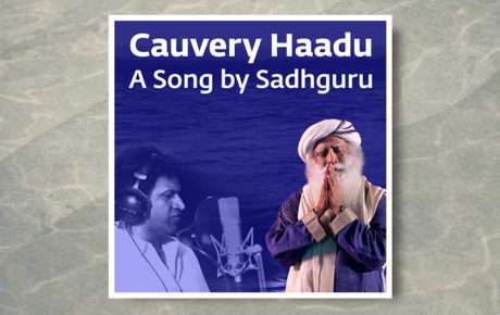 ecover_Cauvery Haadu IDS